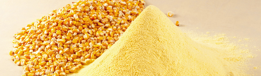 Corn flour for baby food